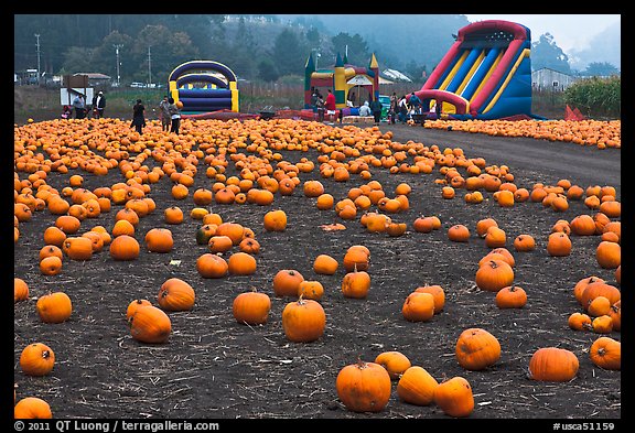 Pumpkin patch and slides. Half Moon Bay, California, USA (color)