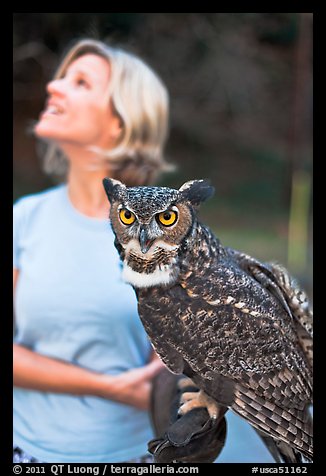 Owl and handler, Alum Rock Park. San Jose, California, USA (color)