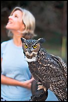 Owl and handler, Alum Rock Park. San Jose, California, USA ( color)