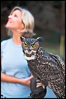 Owl and handler, Alum Rock Park. San Jose, California, USA