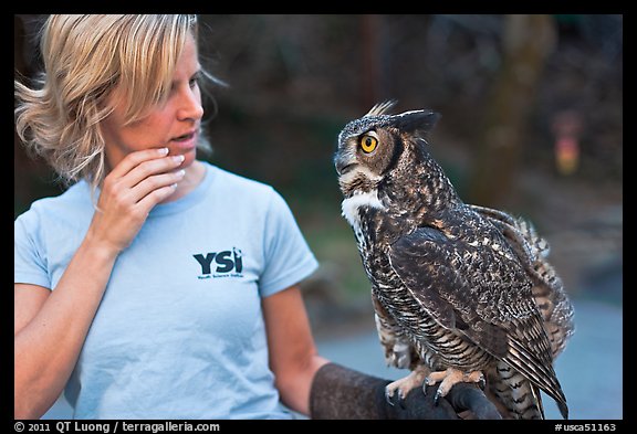 Owl perched on woman's arm, Alum Rock Park. San Jose, California, USA