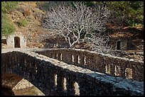 Stone bridge, tree, and grotto stonework, Alum Rock Park. San Jose, California, USA (color)