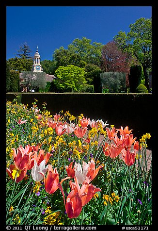 Flowers and garden shop, Filoli estate. Woodside,  California, USA (color)