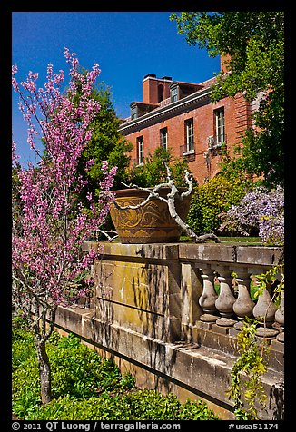 Balustrade, blossoms, and house, Filoli estate. Woodside,  California, USA (color)