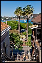 Park and Bay seen from stairs, Sausalito. California, USA