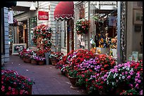 Alley with art galleries and flowers, Sausalito. California, USA ( color)