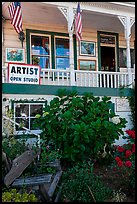Art gallery, Sausalito. California, USA ( color)