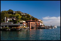 Belvedere Cove, Tiburon. California, USA ( color)