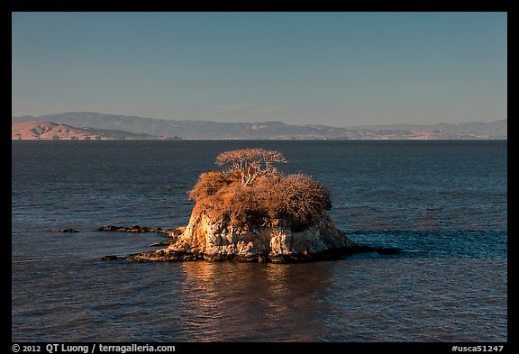 Rat Rock, China Camp State Park. San Pablo Bay, California, USA