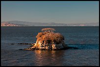 Rat Rock, China Camp State Park. San Pablo Bay, California, USA ( color)