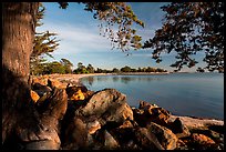 Beach, Robert W Crown Memorial State Beach. Alameda, California, USA ( color)