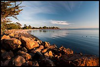 Beach in late afternoon, Robert W Crown Memorial State Beach. Alameda, California, USA ( color)