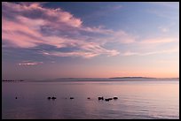 Rocks at sunset, Robert W Crown Memorial State Beach. Alameda, California, USA (color)