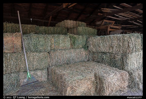 Hay in barn, Ardenwood farm, Fremont. California, USA