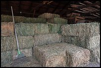 Hay in barn, Ardenwood farm, Fremont. California, USA ( color)