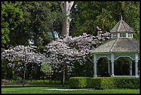 Gazebo and blossoming trees, Ardenwood historic farm regional preserve, Fremont. California, USA (color)