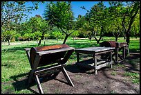 John Muir farm estate, John Muir National Historic Site. Martinez, California, USA (color)