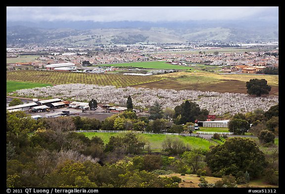 Orchards, fields, and houses from above, Morgan Hill. California, USA