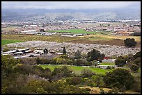 Orchards, fields, and houses from above, Morgan Hill. California, USA