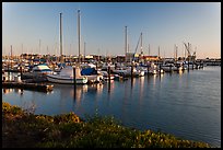 Harbor, Vallejo. San Pablo Bay, California, USA ( color)