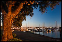 Marina at sunset, Vallejo. San Pablo Bay, California, USA (color)