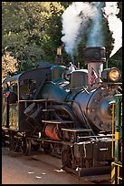 Steam locomotive, Roaring Camp Train, Felton. California, USA (color)