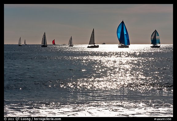 Sailboats and glimmer. Santa Cruz, California, USA