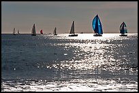 Sailboats and glimmer. Santa Cruz, California, USA (color)