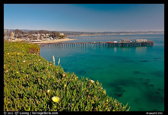 Iceplant-coverd buff and pier. Capitola, California, USA (color)