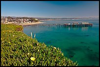 Iceplant-coverd buff and pier. Capitola, California, USA