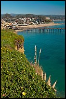 Pier and village. Capitola, California, USA ( color)