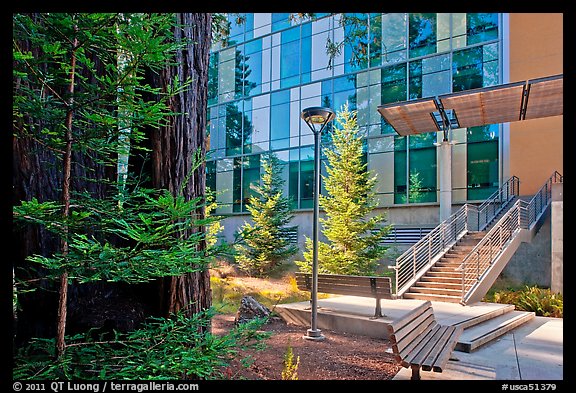 Redwood trees and modern building, UCSC. Santa Cruz, California, USA