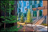 Redwood trees and modern building, UCSC. Santa Cruz, California, USA