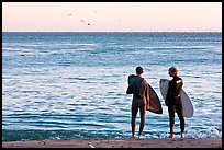 Surfers holding boards, open ocean, and birds. Santa Cruz, California, USA