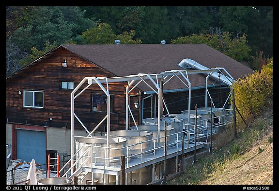 Processing tanks, Savannah-Chanelle winery, Santa Cruz Mountains. California, USA (color)