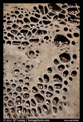 Taffoni rock with holes filled by pebbles, Bean Hollow State Beach. San Mateo County, California, USA
