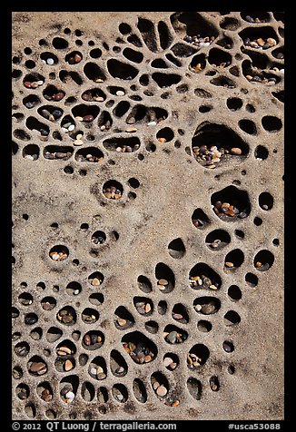 Taffoni rock with holes filled by pebbles, Bean Hollow State Beach. San Mateo County, California, USA (color)