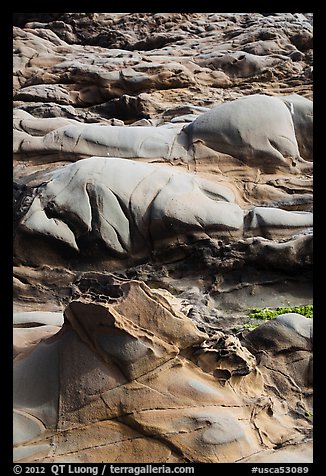 Eroded rock, Bean Hollow State Beach. San Mateo County, California, USA (color)