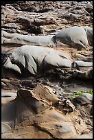 Eroded rock, Bean Hollow State Beach. San Mateo County, California, USA (color)