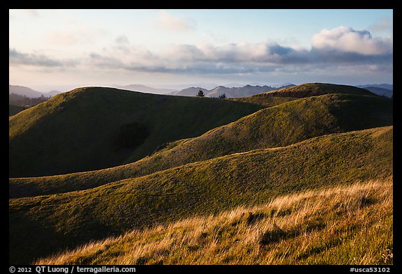 Hills, Mt Tamalpais State Park. California, USA (color)