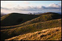 Hills, Mt Tamalpais State Park. California, USA (color)