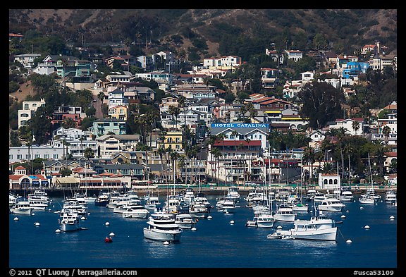 Harbor and houses on hillside, Avalon, Santa Catalina Island. California, USA