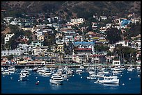 Harbor and houses on hillside, Avalon, Santa Catalina Island. California, USA (color)