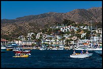 Avalon seen from harbor, Santa Catalina Island. California, USA (color)