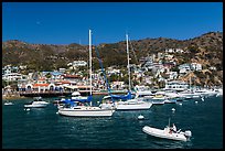 Avalon Bay harbor, Santa Catalina Island. California, USA (color)