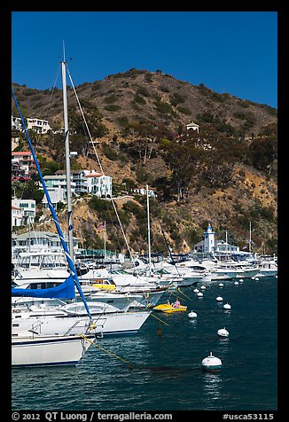 Yachts, Avalon harbor, Catalina Island. California, USA (color)