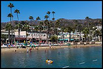 Avalon Bay beach, Santa Catalina Island. California, USA ( color)