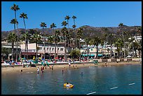 Avalon Bay beach, Santa Catalina Island. California, USA (color)