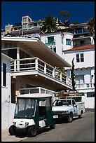 Golf cart and hillside houses, Avalon, Santa Catalina Island. California, USA ( color)