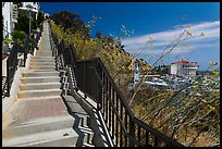 Stairs above harbor, Avalon Bay, Santa Catalina Island. California, USA (color)